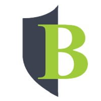Boutique Venture Partners logo - Similar company to Ignite23