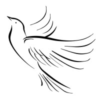 Attitude Studios logo - Similar company to Tedxnova