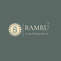 Bamru Group Holdings Ltd logo - Similar company to Analyzelink