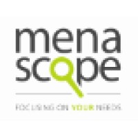 MenaScope Consulting logo - Similar company to Nes Advantage Solutions