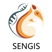 Sengis logo - Similar company to Statooth