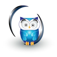 OwlCraft Studios logo - Similar company to Beltecno-Global