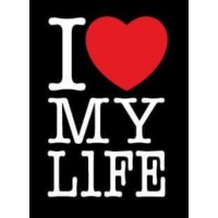 Andy Ferguson logo - Similar company to Palace Builders Na, Llc