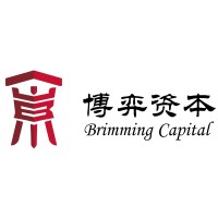 Brimming Capital Inc. logo - Similar company to Dowill Holding