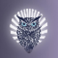 Wise Decisions Search Group Llc