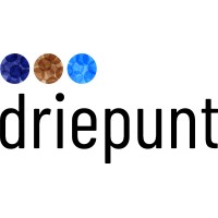 Driepunt B.V. logo - Similar company to Klantmeesters