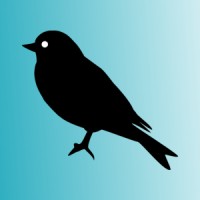 Merula Limited logo - Similar company to Rydal Group