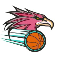 Manly Wheelchair Basketball Association logo - Similar company to Harveybloom