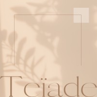 Teïade logo - Similar company to Capia Consulting