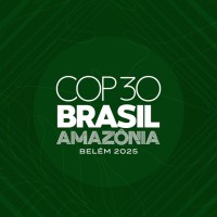 COP30 Insights logo - Similar company to Cdr30: The Global Cdr Initiative At Cop30