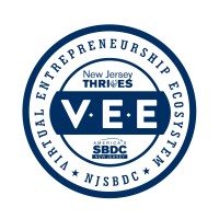 NJThrivesVEE logo - Similar company to Light Forge Studios