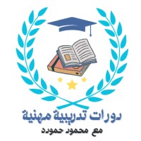 Audit & Accounting | Mahmoud Hamouda logo - Similar company to U.S. Financial Advisory And Audit Firm (Usfaaf) Inc.