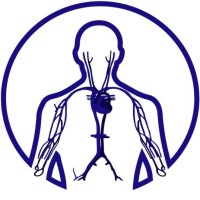 DIBIOMED logo - Similar company to Next Generation Services & Consulting Srl