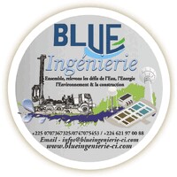 Blue Ingénierie ci logo - Similar company to Linuxtech