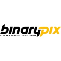 Binarypix - Digital Maketing Solutions logo - Similar company to Binary Services Inc.