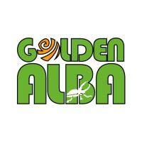 Golden Alba SAS BIC logo - Similar company to Fi Ingeniería