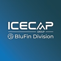 BluFin Group logo - Similar company to No Name