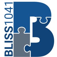 Bliss 1041 logo - Similar company to Trust Processing Solutions