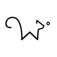 Wisercat logo - Similar company to Snowhound