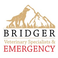 Bridger Veterinary Specialists