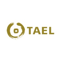 TAEL Partners logo - Similar company to Capital Code