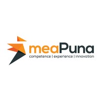 meaPuna GmbH logo - Similar company to Mlconsulting