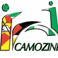 Mozambique-Nigeria Chamber of Commerce. (camozini) logo - Similar company to Crowd Wallstreet, Inc
