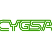 Cygsa Chile logo - Similar company to Reli Spa