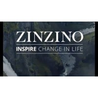 Zinzino logo - Similar company to Lifecheck