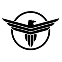 Flight Sports Consulting logo - Similar company to Twelve