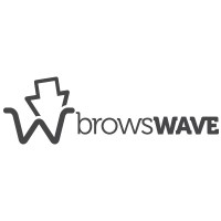 Browswave JSC logo - Similar company to Dynamic Pricing Ai