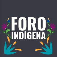 Foro Indigena logo - Similar company to Afimad - Asociación Forestal Indígena Madre De Dios