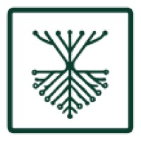 Wood Wide AI logo - Similar company to Bam!