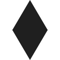 Incognitus logo - Similar company to Meetelp