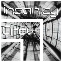 Insanity Crew logo - Similar company to Borish: Making Stories Fantastic Since 2007