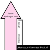 Phamazon Overseas pvt ltd logo - Similar company to Radha Meditech