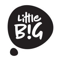 Little BIG logo - Similar company to Flnt