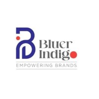 Bluer Indigo llp logo - Similar company to Ninety One Solutions