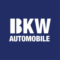 BKW Automobile Pte Ltd logo - Similar company to Driveit
