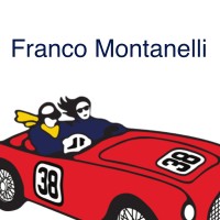 Franco Montanelli srl logo - Similar company to Smart Mind