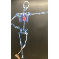 Biomedical Engineering at Strathclyde logo - Similar company to Glasgow University Biomedical Engineering Society (Gubmes)