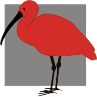 Scarlet Ibis Gallery