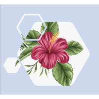 ZAHARA for Education logo - Similar company to Expectant Advisory, Llc