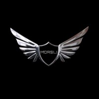 MORSLI STEERING LTD logo - Similar company to Meadows Engineering Ltd