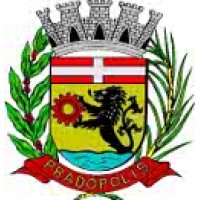 Prefeitura Municipal de Pradópolis logo - Similar company to Agência Artemis