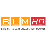 BLMHD logo - Similar company to Frogpubs