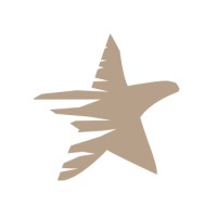 DARK STAR logo - Similar company to Chupscom