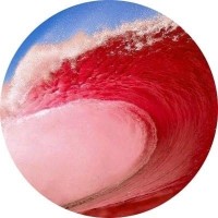 Red Wave Enterprises, LLC logo - Similar company to Elevate Ventures