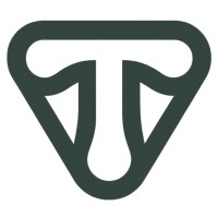 Triad Digital Solutions logo - Similar company to Wedeydo