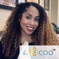 The Fractional COO logo - Similar company to Fractional Coo